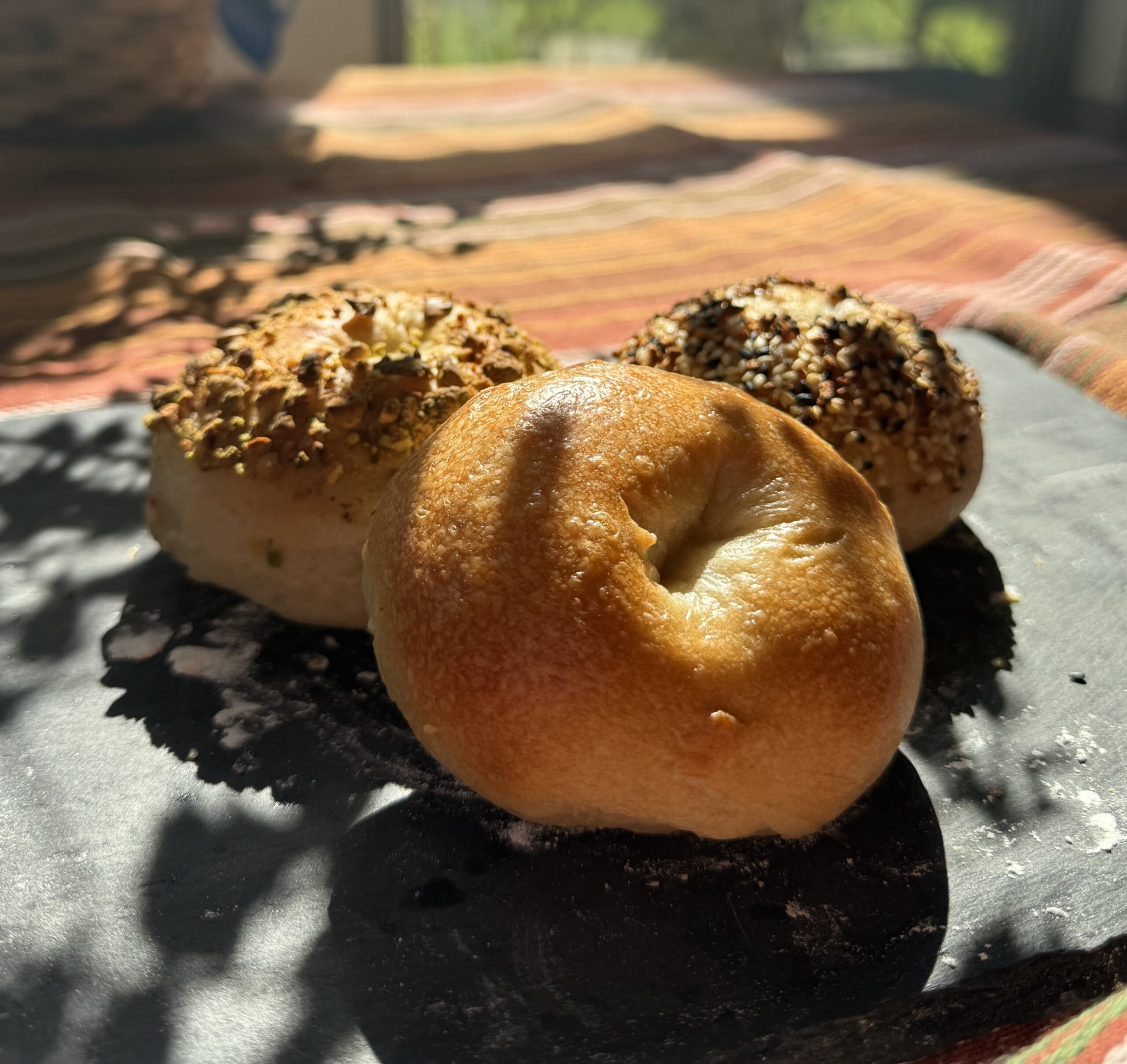 sourdough bagels Covington & Mandeville LA
