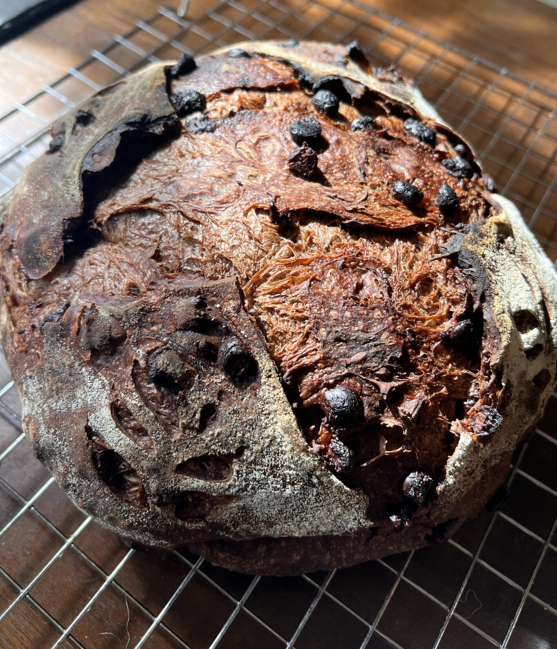 chocolate chocolate chip sourdough bread Covington Mandeville LA