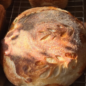 jalapeno cheddar sourdough loaf covington and mandeville la