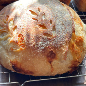 jalapeno cheddar sourdough loaf covington la